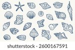 Big set of hand drawn seashells. Beach seashells in line style in blue. Design elements for posters, menu, summer season. Trendy design in ink style