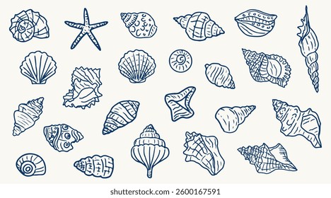 Big set of hand drawn seashells. Beach seashells in line style in blue. Design elements for posters, menu, summer season. Trendy design in ink style