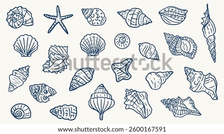 Big set of hand drawn seashells. Beach seashells in line style in blue. Design elements for posters, menu, summer season. Trendy design in ink style