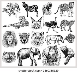 Big set of hand drawn sketch style wild animals isolated on white background. Vector illustration.