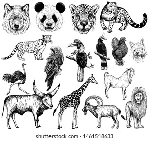 Big set of hand drawn sketch style wild animals isolated on white background. Vector illustration.