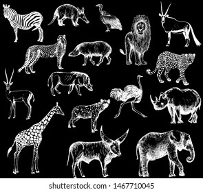 Big set of hand drawn sketch style wild animals isolated on black background. Vector illustration.