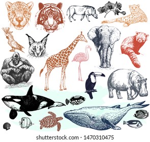 Big set of hand drawn sketch style wild animals isolated on white background. Vector illustration.