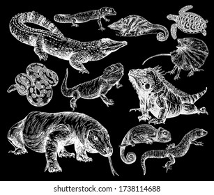 Big set of hand drawn sketch style reptiles isolated on black background. Vector illustration.