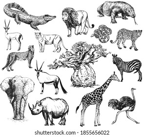 Big set of hand drawn sketch style animals isolated on white background. Vector illustration.