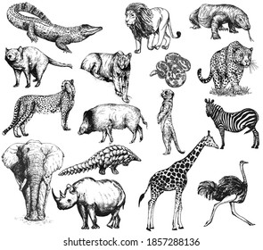 Big set of hand drawn sketch style animals isolated on white background. Vector illustration.