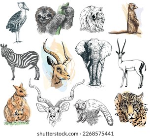 Big set of hand drawn sketch style animals isolated on white background. Vector illustration.