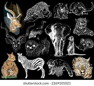 Big set of hand drawn sketch style animals isolated on black background. Vector illustration.