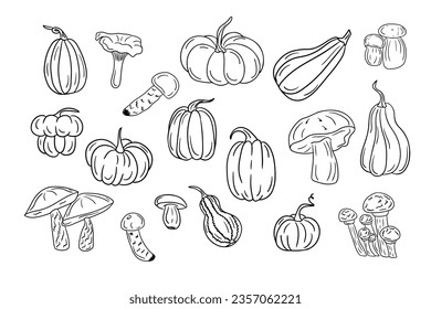 Big set of hand drawn sketch squashes and fungus. Autumn doodle design. Black sketch elements on white background. Different types of fungus and pumpkins. Good for coloring pages, stickers, tatoo.