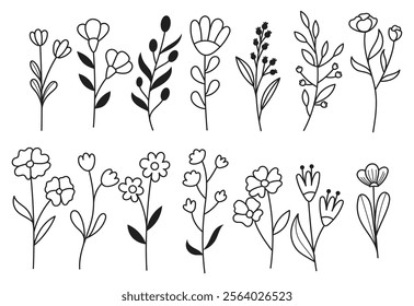 Big set of hand drawn spring flowers and branches with leaves, flowers, berries. Floral sketch collection.