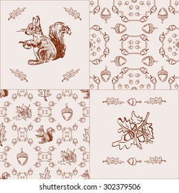 big set with hand drawn squirrel and acorn (  including 2 seamless patterns and design elements)