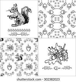big set with hand drawn squirrel and acorn (  including 2 seamless patterns and design elements)