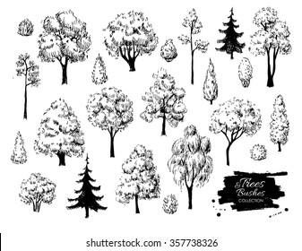 Big set of hand drawn tree sketches. Artistic drawing.