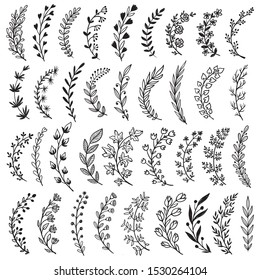 Big set of hand drawn vector plants and branches with leaves, flowers, berries. Floral sketch collection. Decorative elements for design. Ink, vintage, rustic