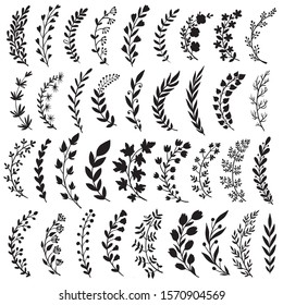 Big set of hand drawn vector plants and branches with leaves, flowers, berries. Floral sketch collection. Decorative elements for design. Ink, vintage, rustic