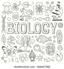 Big Set Hand Drawn Vector Biological Stock Vector (Royalty Free ...