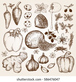 Big set of hand drawn vegetables, kitchen herbs, fruits and eggs