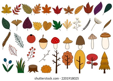 Big set of hand-drawn autumn forests flat style element for decorating artwork in the fall season. Autumn leaves, oak, maple leaf, mushroom, tree, and berries collection isolated on white background.