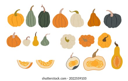 Big set of hand-drawn colorful pumpkins, pieces and parts, view from above. Flat organic style. Pretty and cute autumn and Halloween decorations. Isolated on white background.