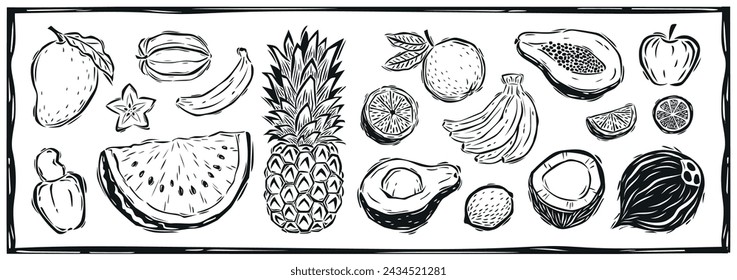 Gran conjunto de frutas dibujadas a mano. Ilustración vectorial en estilo vintage woodcut.