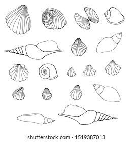 Seashell Drawing Images, Stock Photos & Vectors | Shutterstock