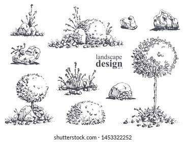 Tree and shrubs on white background hand drawn sketch style illustration.  Plants black and white vector monochrome outline image Stock Vector Image &  Art - Alamy