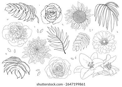 Big set of hand-drawn vector floral and leaf elements illustrations including roses, lilies, sunflowers, and tropical leaves. Ideal for botanical designs, coloring books, or decorative projects.