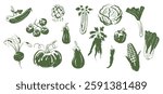 A big set of hand-drawn vegetables. Isolated. Cucumber, tomato, artichoke, celery, cabbage, leek, corn, pepper, carrot, eggplant, pumpkin, beetroot. Vector illustration of a doodle. 