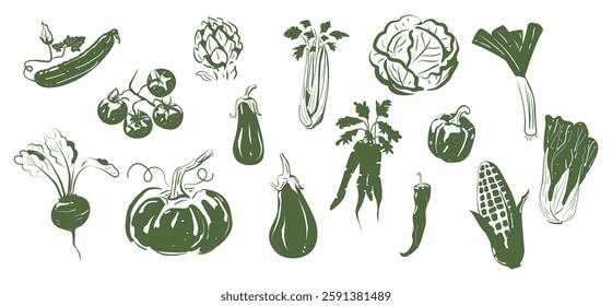 A big set of hand-drawn vegetables. Isolated. Cucumber, tomato, artichoke, celery, cabbage, leek, corn, pepper, carrot, eggplant, pumpkin, beetroot. Vector illustration of a doodle. 