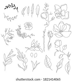 Big set of herbal elements in doodle style.Line art flowers mognol,roses,peonies,vet and olive tree,olives,buds,leaves.Vector illustration isolated on white.For posters, print, postcards, book picture