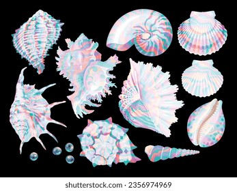 Big set of high detailed sea shells