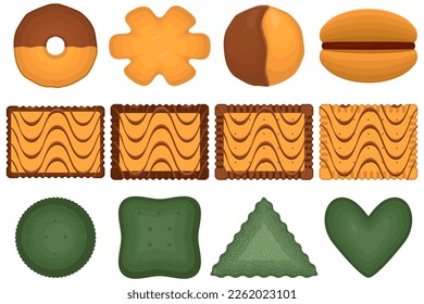 Big set homemade cookie different taste in pastry biscuit, large kit cookie consist of collectible natural tasty food biscuit it pastry accessory, fresh pastry biscuit from sweet cookie to breakfast