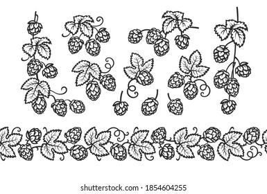Big set of hop branches, cones, and leaves plus beer hop seamless border. Elements for brewery design in vintage engraving style. Hand drawn vector illustration isolated on white background. 