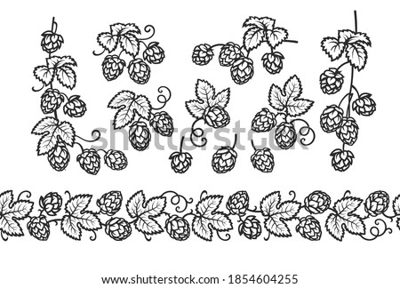 Big set of hop branches, cones, and leaves plus beer hop seamless border. Elements for brewery design in vintage engraving style. Hand drawn vector illustration isolated on white background. 