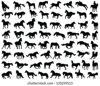 Big set of horses silhouettes-vector