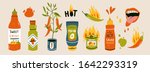 Big set of hot Chilli sauces. Red and green Hot Chili peppers. Various spicy dressings, mayo, salsa. Burning hot. Different bottles. Hand drawn colored vector illustration. All elements are isolated