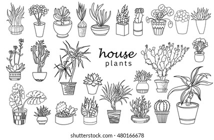 Big set of house plant isolated. Vector linear sketch house plant pot illustration. Illustration of houseplants, indoor and office plants in pot.