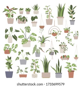 Big set with house plants in flower pots. Urban jungle, home gardening. Hand drawn vector illustration in flat cartoon style. Perfect for poster, sticker, print, card