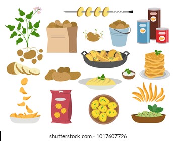 Big set icons of potato dishes on white background. Vector illustration.