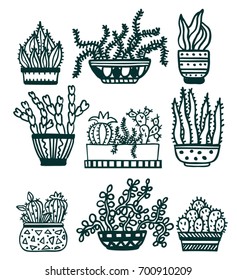 Big set of illustrations of cactus and succulents in pots. Can be used for cards, invitations or like sticker