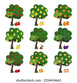 Big set of illustrations of fruit trees. Green fruit tree flat set. Different trees with ripe fruits apple, plum, pear, cherry, lemon, orange. 