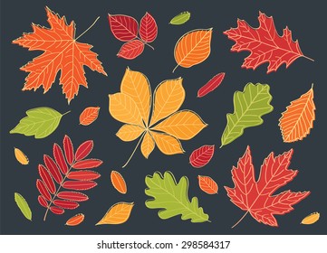 A big set of images of leaves of different trees. Fall of the leaves. Autumn leaves are drawn with chalk on black chalkboard. Sketch, design elements. Vector illustration.