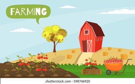 Big set infographics vector farm elements and ecology cartoon gardening background