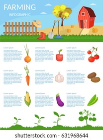 Big set infographics vector farm elements and ecology cartoon gardening background