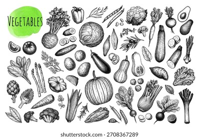 Gran conjunto de bocetos de tinta de verduras. Una Grande colección de ilustraciones dibujadas a mano.