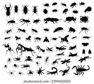 Big set of insect silhouettes. Vector illustration.	
