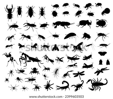 Similar – Image, Stock Photo Silhouette of a Mantis on Grass