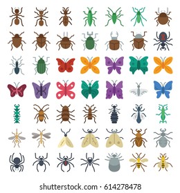 big set of insects bugs - Isolated on a white background