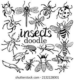 big set of insects in doodle, in black by hand. collection of fly, bee, grasshopper, moth and beetles, pests in the form of vintage sketch. Isolated on white illustration, with lettering INSECTS