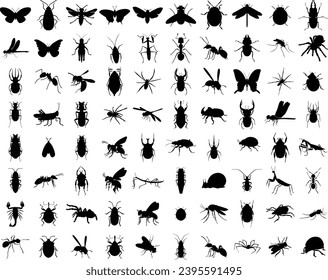 Big set of insects silhouettes. Vector illustrations isolated on white background